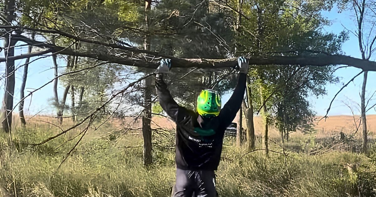 Emergency Fallen Tree Removal