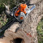 Professional tree trimming in Des Moines during winter dormancy