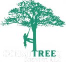 SchmiTreez Service Logo