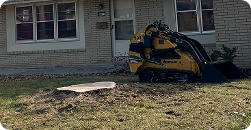 stump grinding and removal